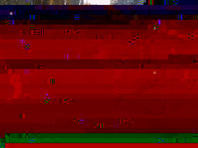 k-IMG252.jpg