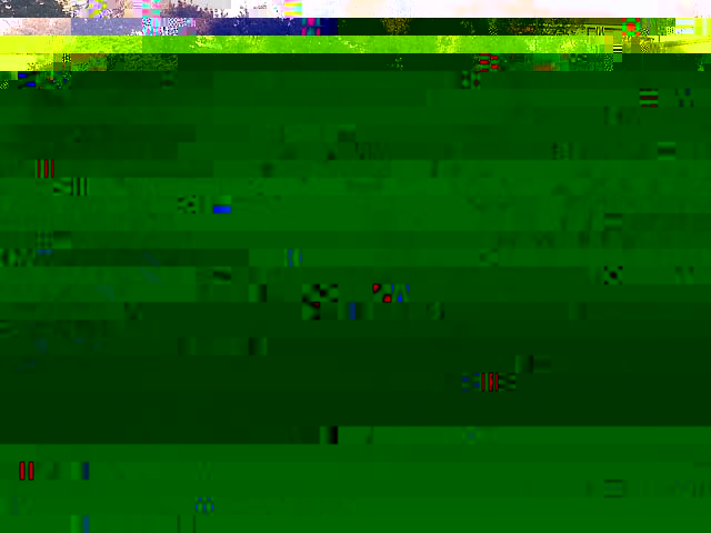 k-IMG251.jpg
