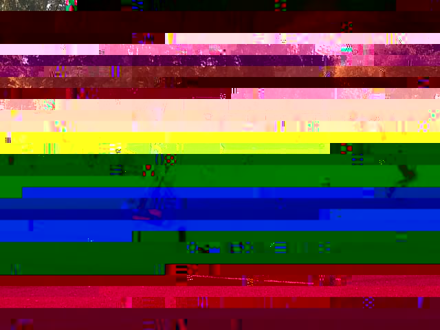 k-IMG237.jpg