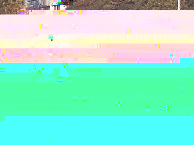 k-IMG236.jpg