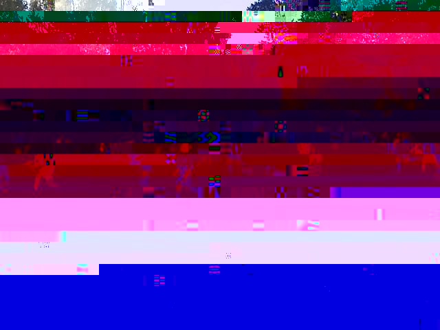 k-IMG234.jpg