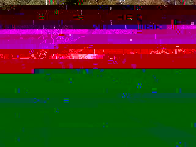 k-IMG231.jpg