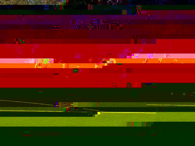 k-IMG229.jpg