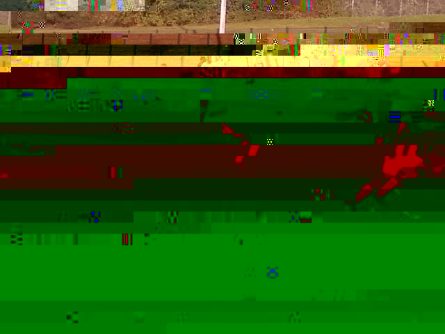 k-IMG227.jpg