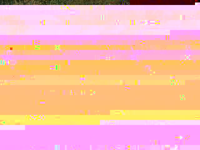 k-IMG224.jpg