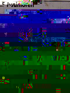 SSV22.4.2010.jpg