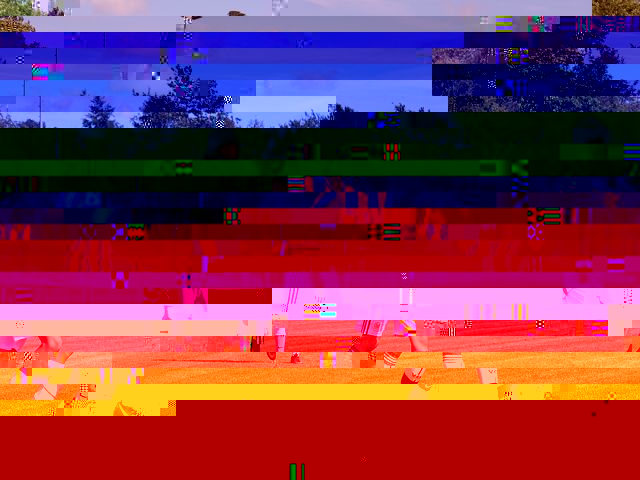 k-IMG_0010.JPG